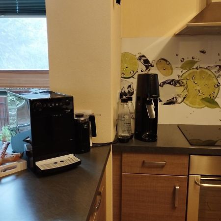 Nichtraucherferienwohnung-Neckarblick Ze-2022-74-Wz-118A هايدلبرغ المظهر الخارجي الصورة