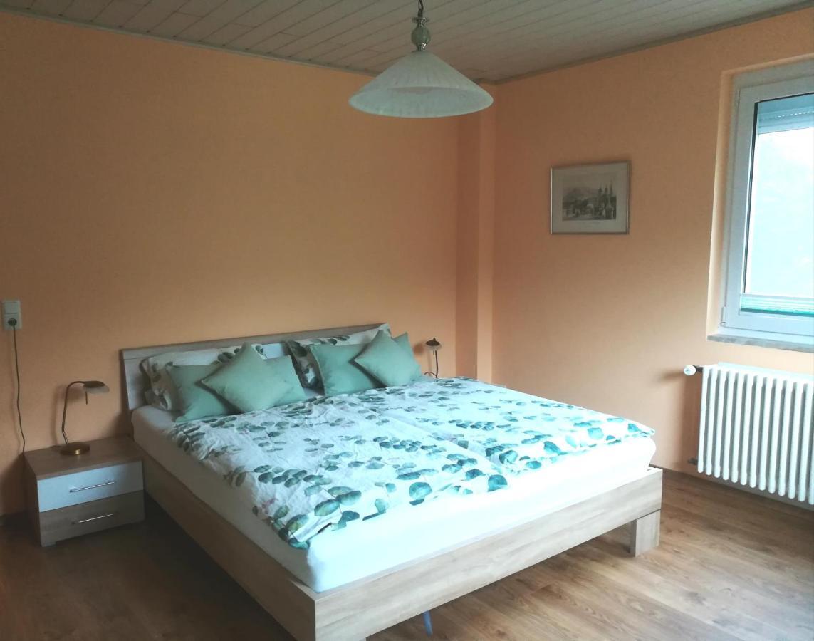 Nichtraucherferienwohnung-Neckarblick Ze-2022-74-Wz-118A هايدلبرغ المظهر الخارجي الصورة