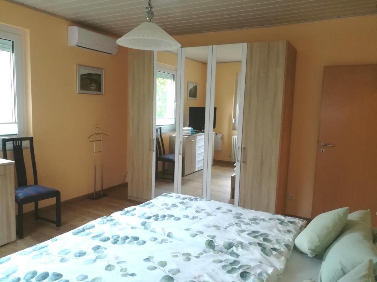 Nichtraucherferienwohnung-Neckarblick Ze-2022-74-Wz-118A هايدلبرغ المظهر الخارجي الصورة
