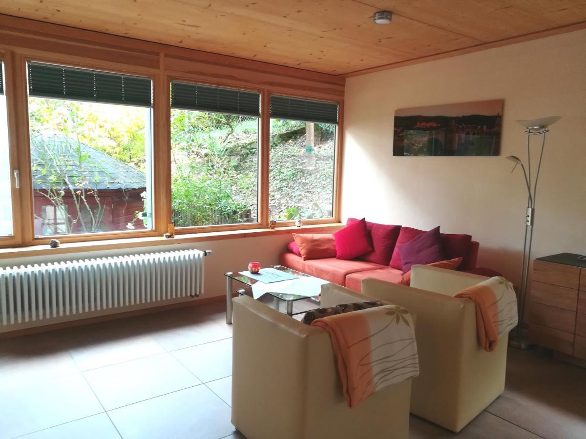 Nichtraucherferienwohnung-Neckarblick Ze-2022-74-Wz-118A هايدلبرغ المظهر الخارجي الصورة