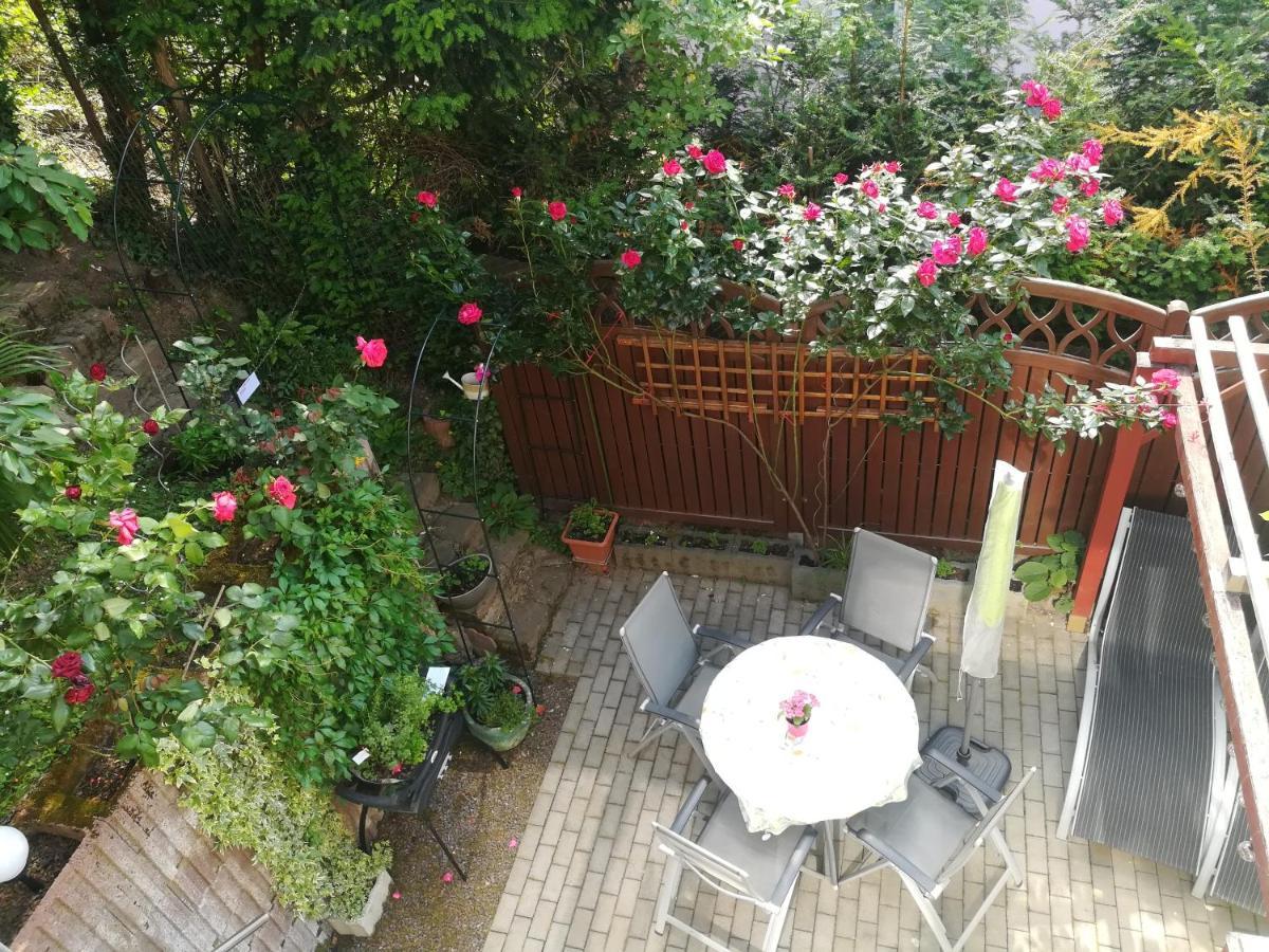Nichtraucherferienwohnung-Neckarblick Ze-2022-74-Wz-118A هايدلبرغ المظهر الخارجي الصورة