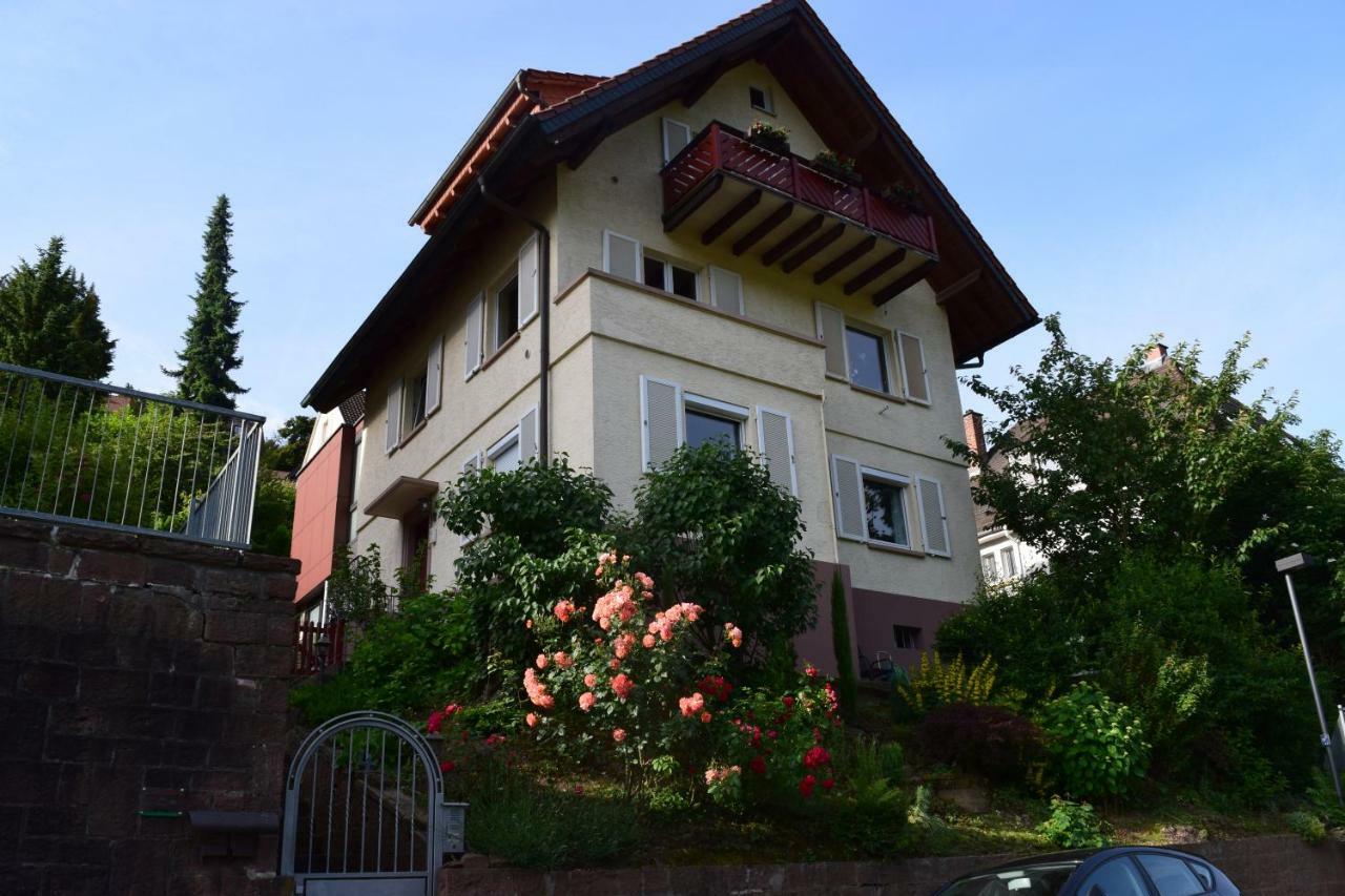 Nichtraucherferienwohnung-Neckarblick Ze-2022-74-Wz-118A هايدلبرغ المظهر الخارجي الصورة